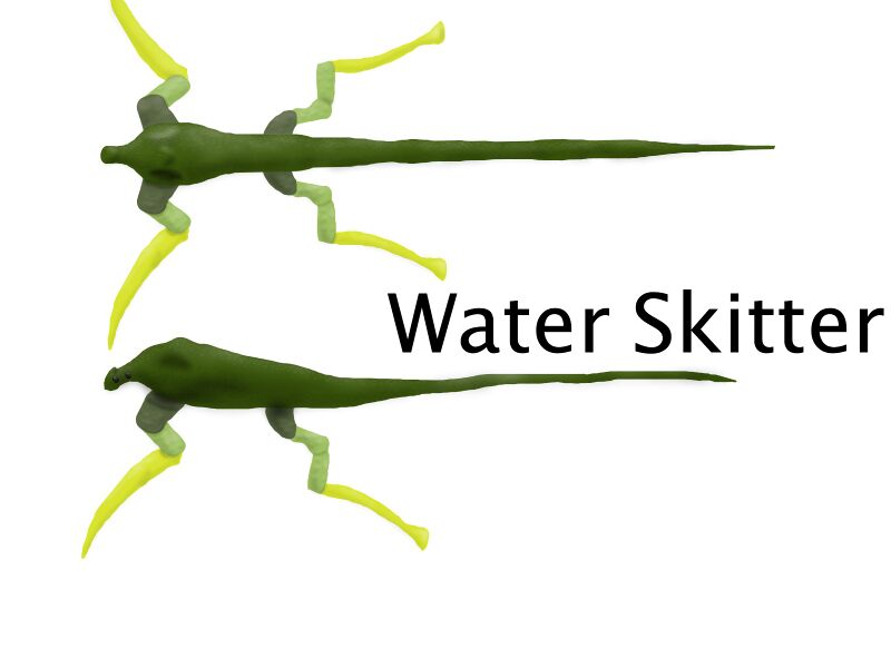 File:Water Skitter WIP.jpg