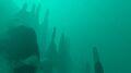 The mysterious pillars in the Sparse Reef