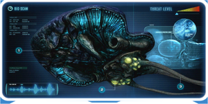 Reefback-1.png