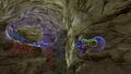 A Holefish in the Safe Shallows Caves