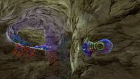 A Holefish in the Safe Shallows Caves