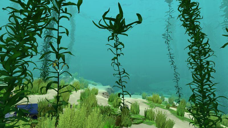 File:Creepvine (4).jpg