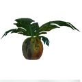 Thumbnail for version as of 02:57, 12 February 2016