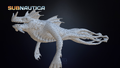 SeaDragon Lowpoly Model from Sketchfab