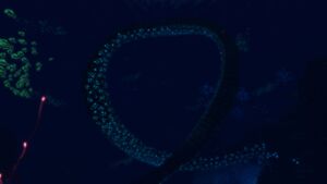 TwistyBridges loop.jpg