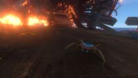 Cave Crawlers on the Aurora