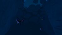 Underwater overview during the night