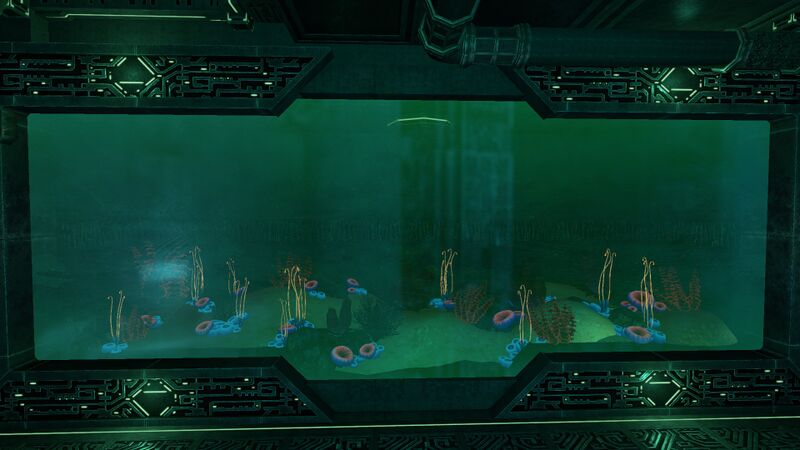 File:PipeAquarium5.jpg