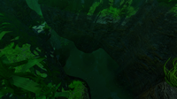 An entrance to the Kelp Forest Caves