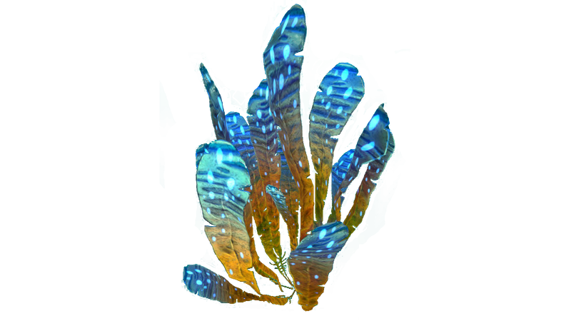 File:Spotted Leaves Plant Flora.png