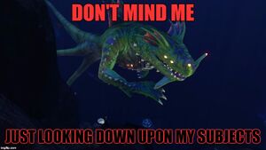 19yu27.jpg
