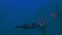 A Brute Shark swimming in the biome