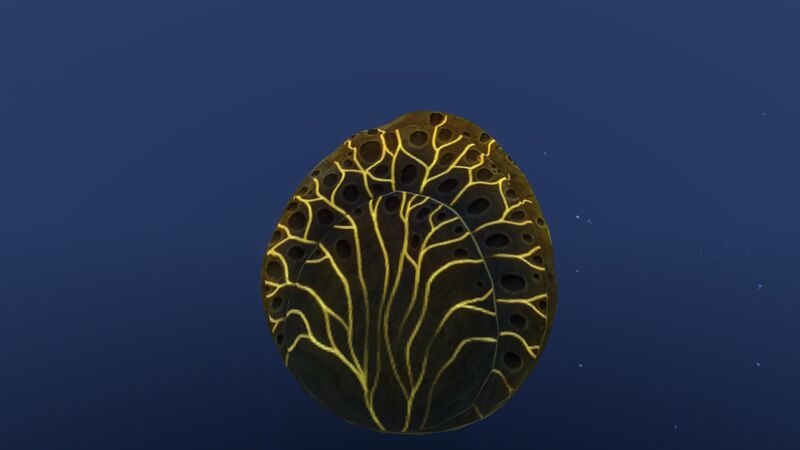 File:CoralShellPlate 10.jpg