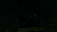 A small hole leading into the segment.