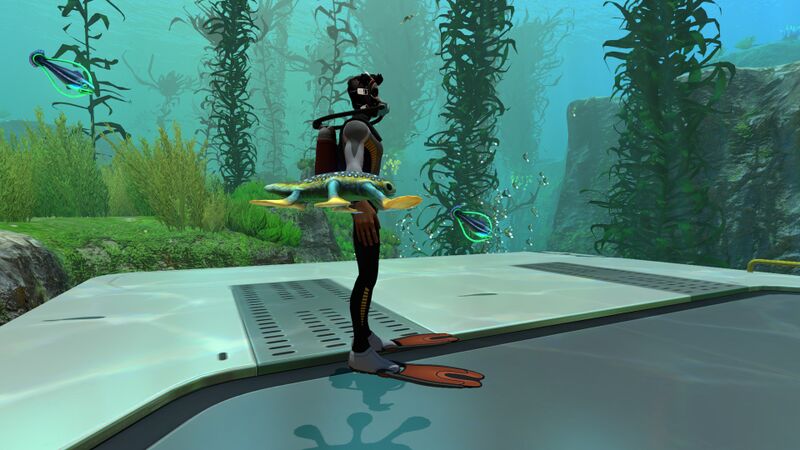 File:HoverfishSizeref.jpg