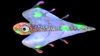 Infected Bladderfish (Black).jpg