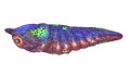 Thumbnail for version as of 05:02, 15 October 2016