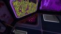 A Living Wall inside the Jelly Shroom base