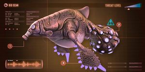 Sleeper Fish.jpg