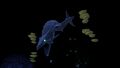 A Boneshark in the caves
