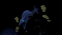 A Boneshark in the caves