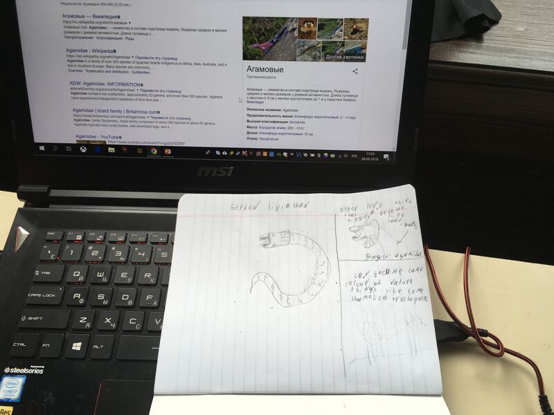 File:2C9921EE-B0F1-4FDA-8FFB-9219BF2D426C.jpeg
