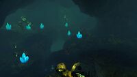 One of the many fissures in the biome.
