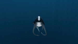 Cute Fish High Five.gif