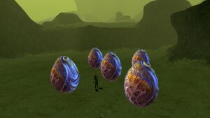 Eggs.jpeg