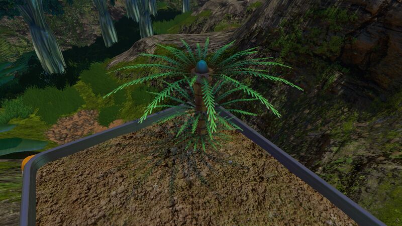 File:FernPalmDay.jpg