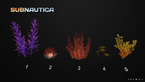Flora1model.png