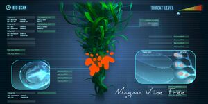 MagmavineDataBank.jpg