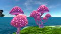 Pink Mushrooms