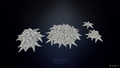 Starfish Highpoly Model from Sketchfab