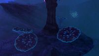 Several Tornado Platess seen around a spire in the Tree Spires