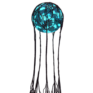 Anchor Pods Flora.png