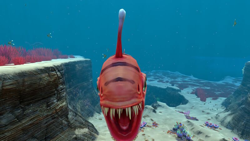 File:Biter Fish (9).jpg
