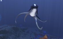 Cutefishhighfive.jpg
