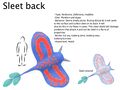 Thumbnail for version as of 00:28, 14 May 2018
