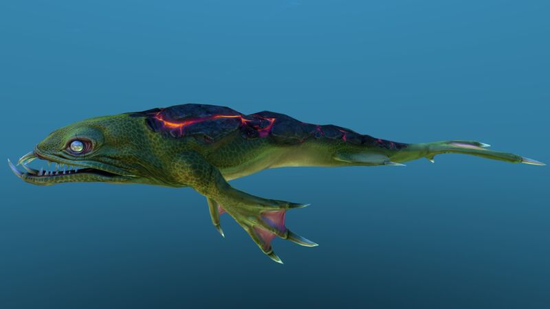 File:Lava Lizard 010.jpg