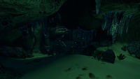 Overview of the Alien Cache