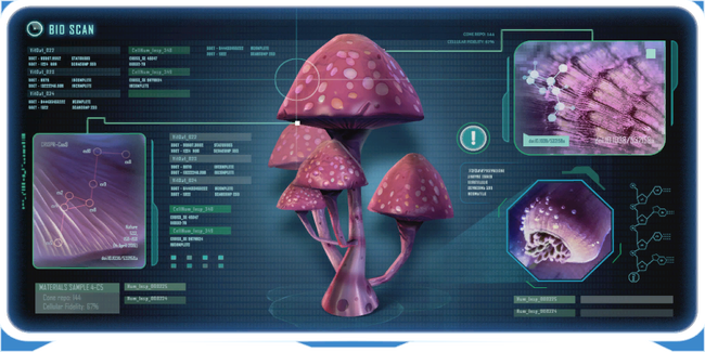 Pink Cap-0.png