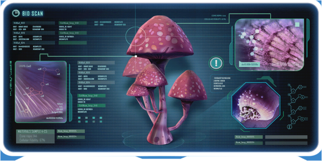 Pink Cap-0.png
