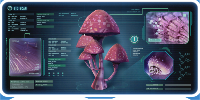 Pink Cap-0.png