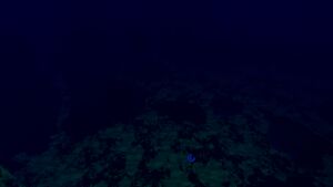 2016-02-09 00016.jpg