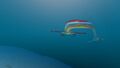 One of several Reaper Leviathan found in the Dunes