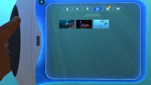 PDA Gallery-1.jpg