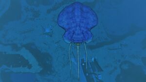 Reefback3.jpg
