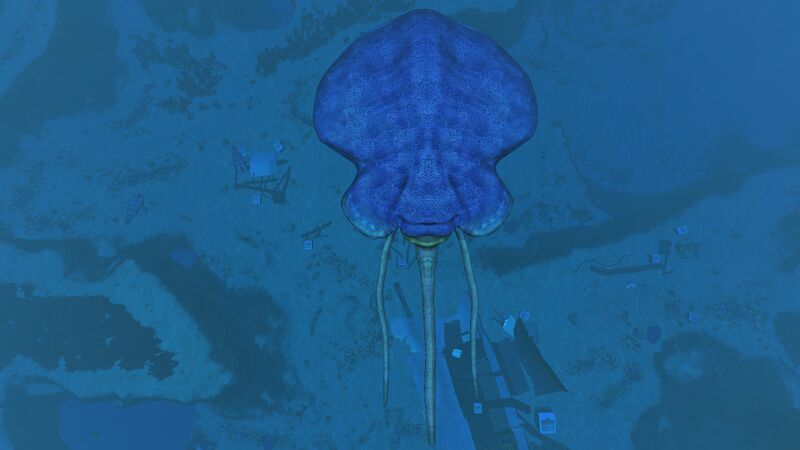 File:Reefback3.jpg