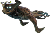 Sea Emperor Fauna.png